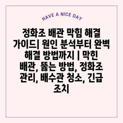 정화조 배관 막힘 해결 가이드| 원인 분석부터 완벽 해결 방법까지 | 막힌 배관, 뚫는 방법, 정화조 관리, 배수관 청소, 긴급 조치