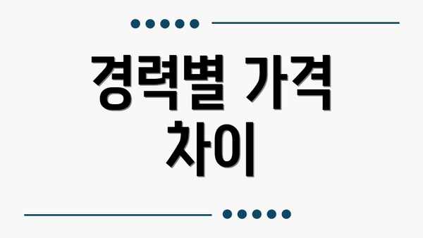 경력별 가격 차이