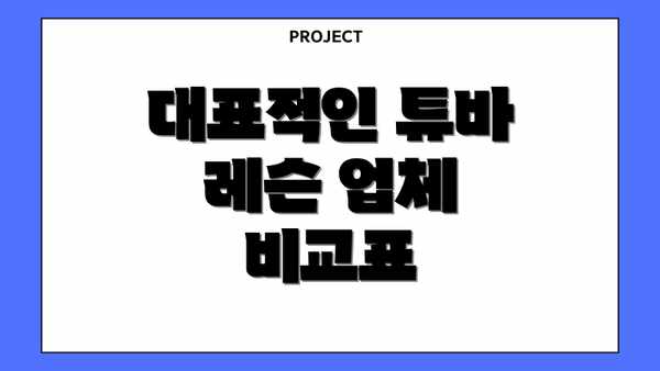 대표적인 튜바 레슨 업체 비교표