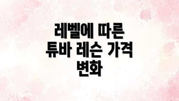 레벨에 따른 튜바 레슨 가격 변화