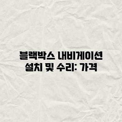 블랙박스 내비게이션 설치 및 수리: 가격 블랙박스 내비게이션 설치 및 수리: 가격