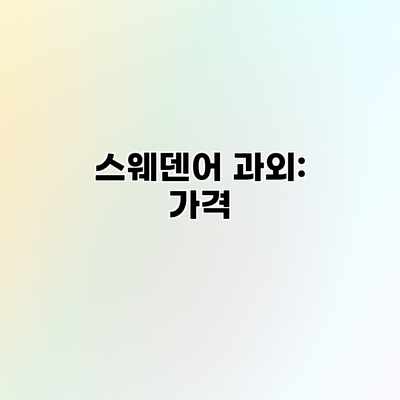 스웨덴어 과외: 가격