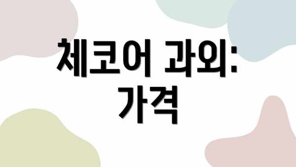 체코어 과외: 가격
