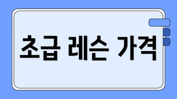 초급 레슨 가격