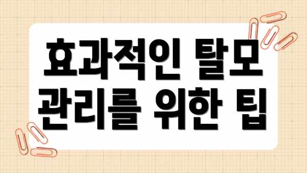 효과적인 탈모 관리를 위한 팁