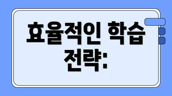 효율적인 학습 전략: