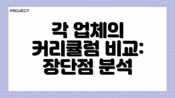 각 업체의 커리큘럼 비교: 장단점 분석