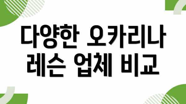 다양한 오카리나 레슨 업체 비교