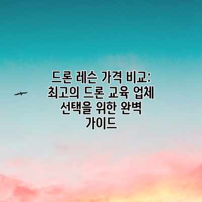 드론 레슨 가격 비교: 최고의 드론 교육 업체 선택을 위한 완벽 가이드 드론 레슨 가격 비교: 최고의 드론 교육 업체 선택을 위한 완벽 가이드