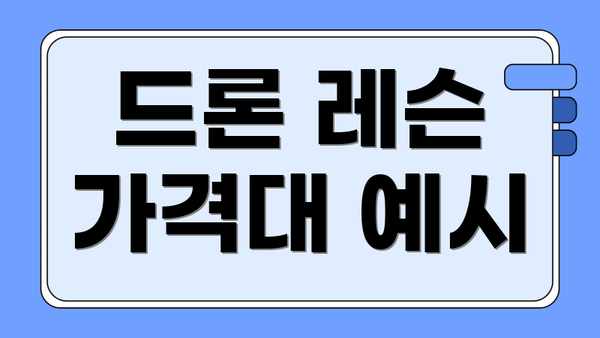 드론 레슨 가격대 예시