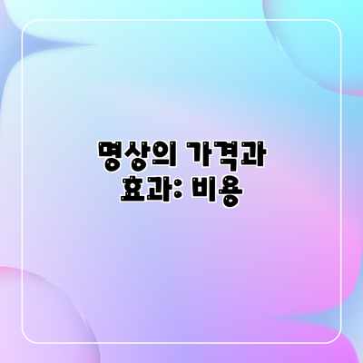 명상의 가격과 효과: 비용 명상의 가격과 효과: 비용