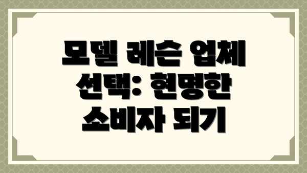 모델 레슨 업체 선택: 현명한 소비자 되기