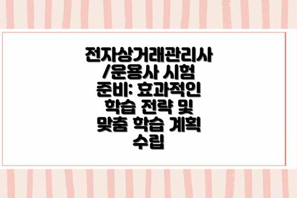 전자상거래관리사/운용사 시험 준비: 효과적인 학습 전략 및 맞춤 학습 계획 수립