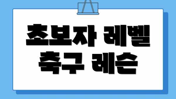 초보자 레벨 축구 레슨