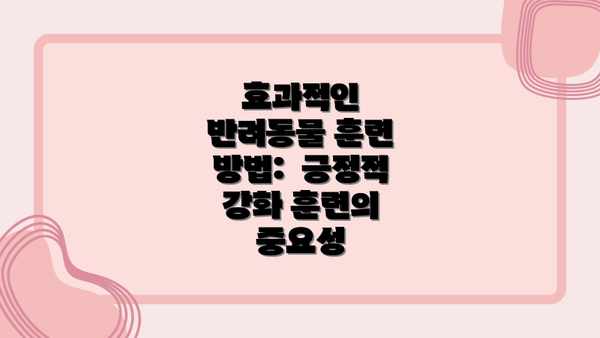 효과적인 반려동물 훈련 방법:  긍정적 강화 훈련의 중요성