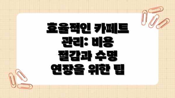 효율적인 카페트 관리: 비용 절감과 수명 연장을 위한 팁