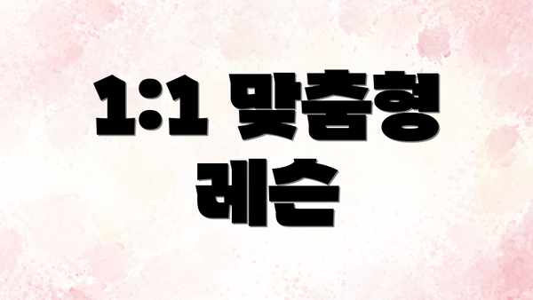 1:1 맞춤형 레슨