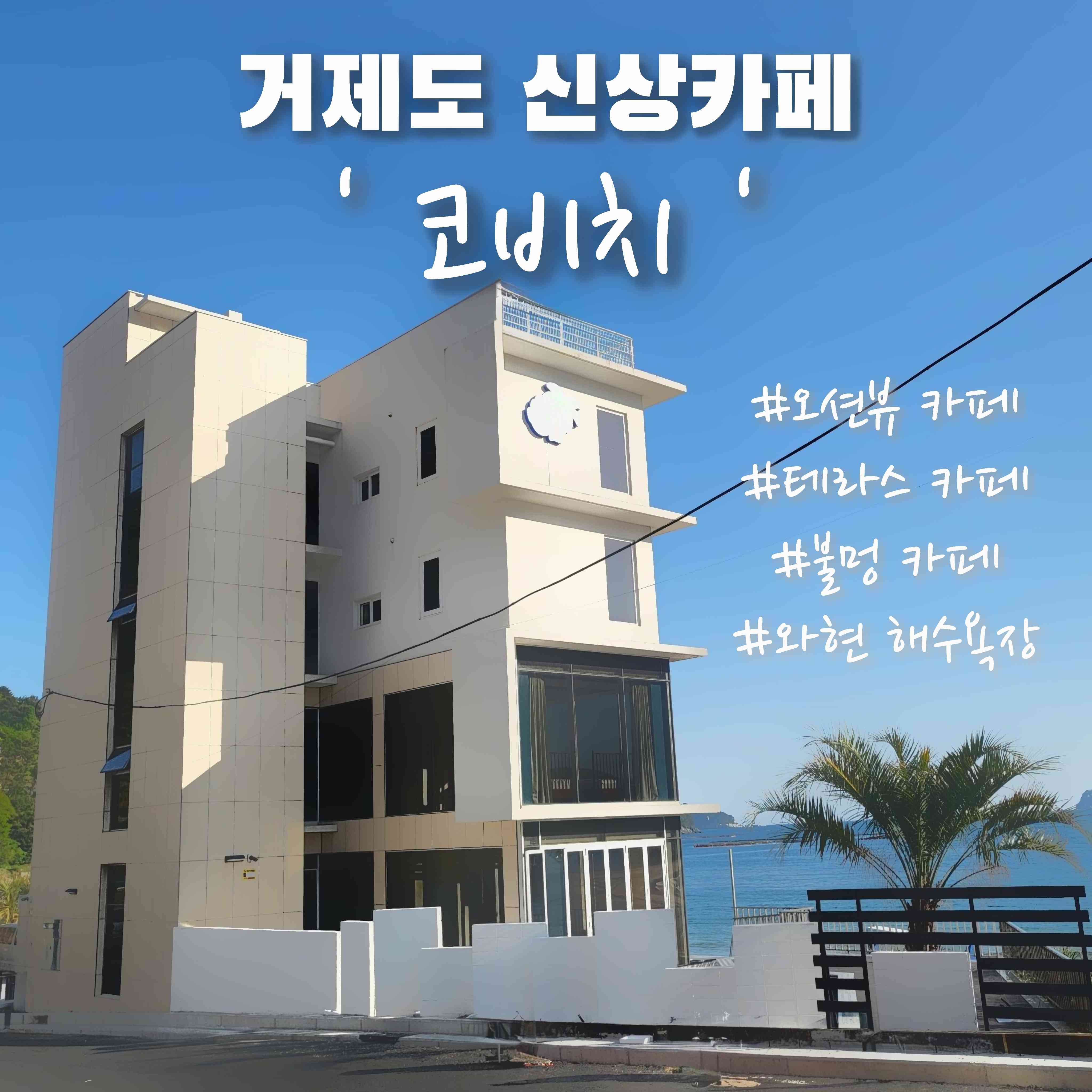 코비치 전경