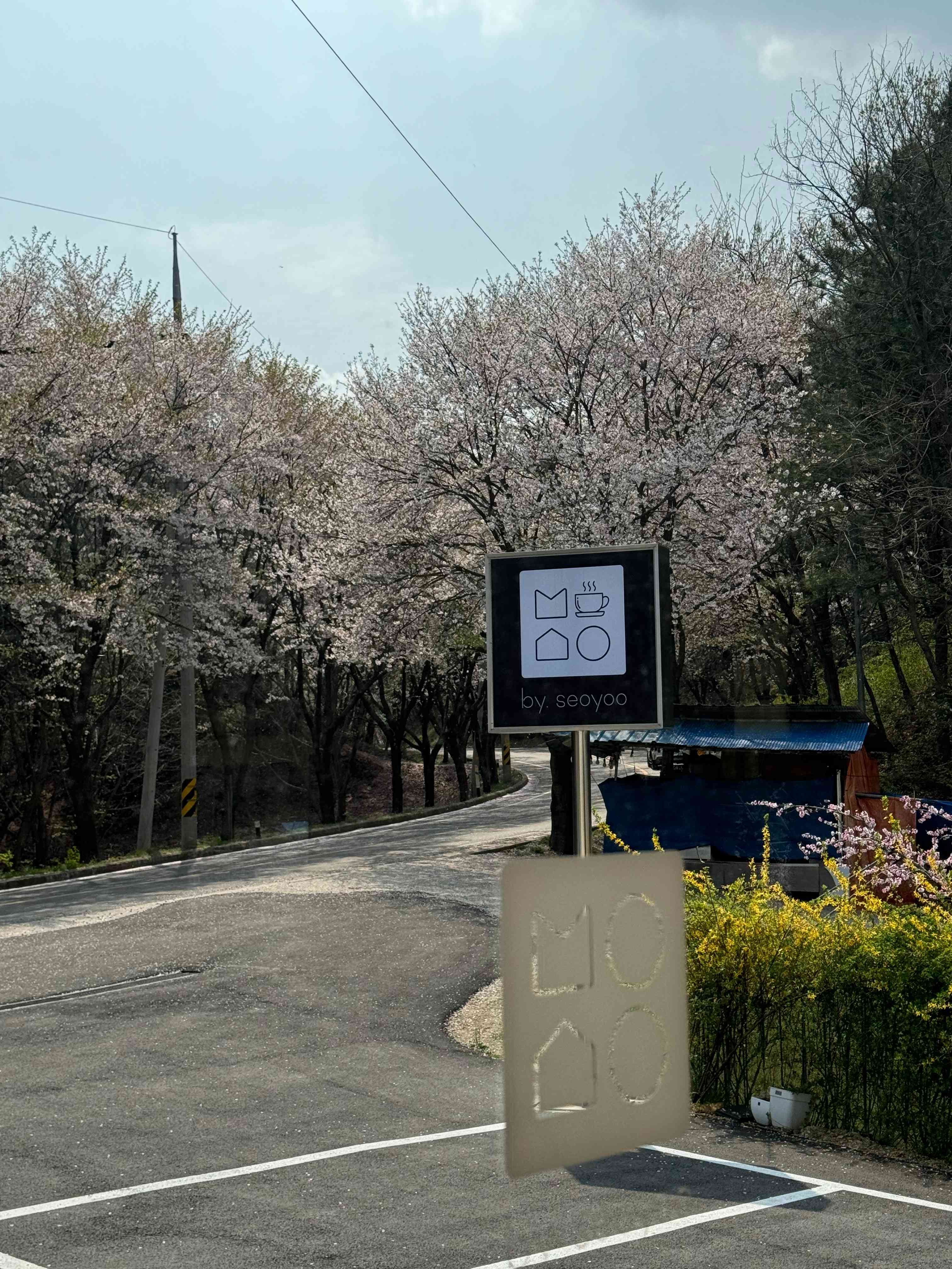 바이서유 대표 메뉴