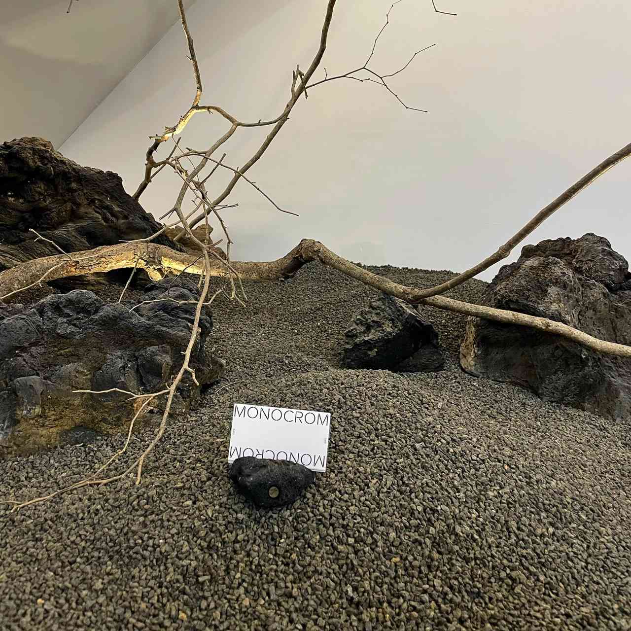 카페 모노크롬 대표 이미지