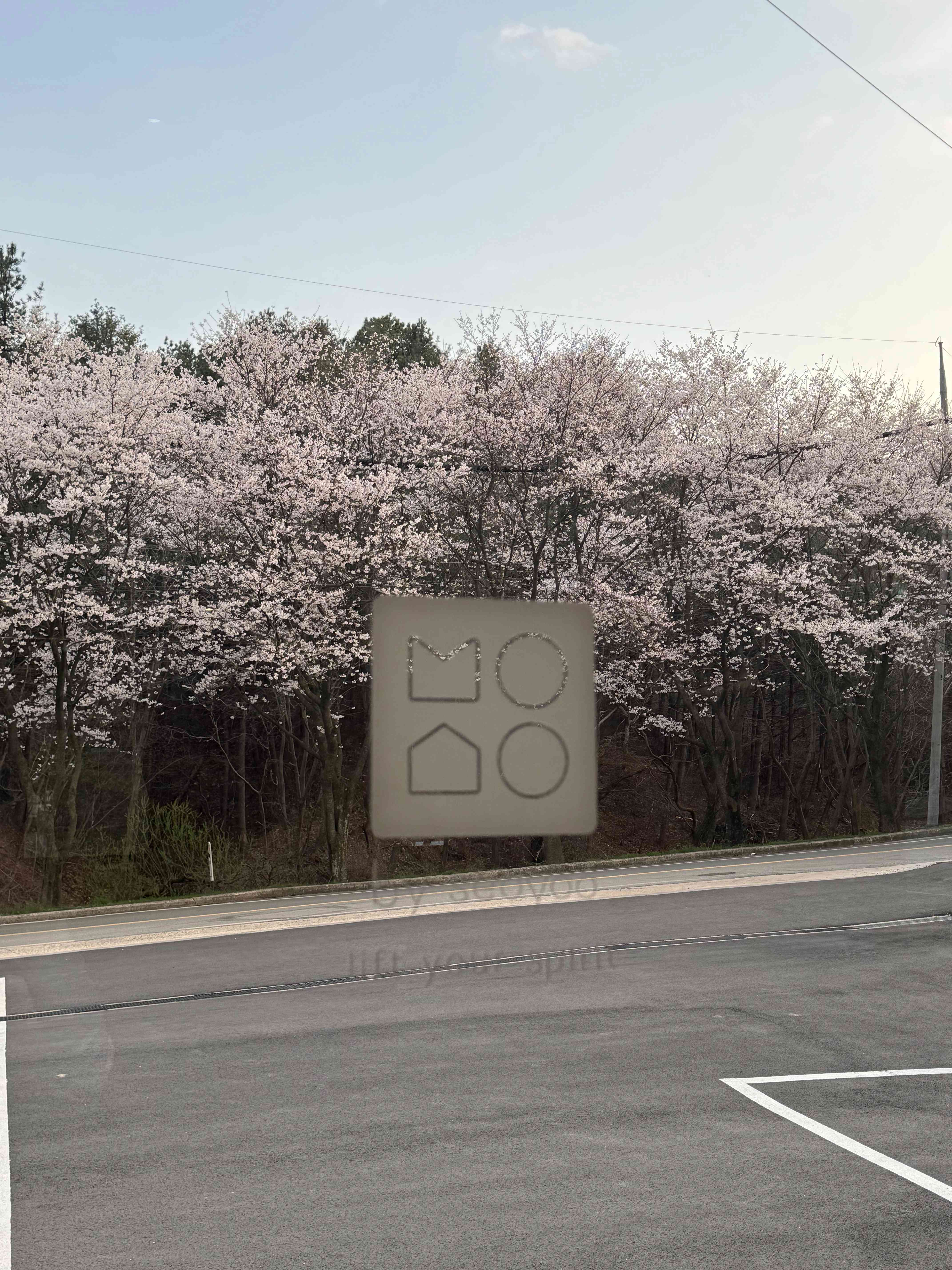 바이서유 전경