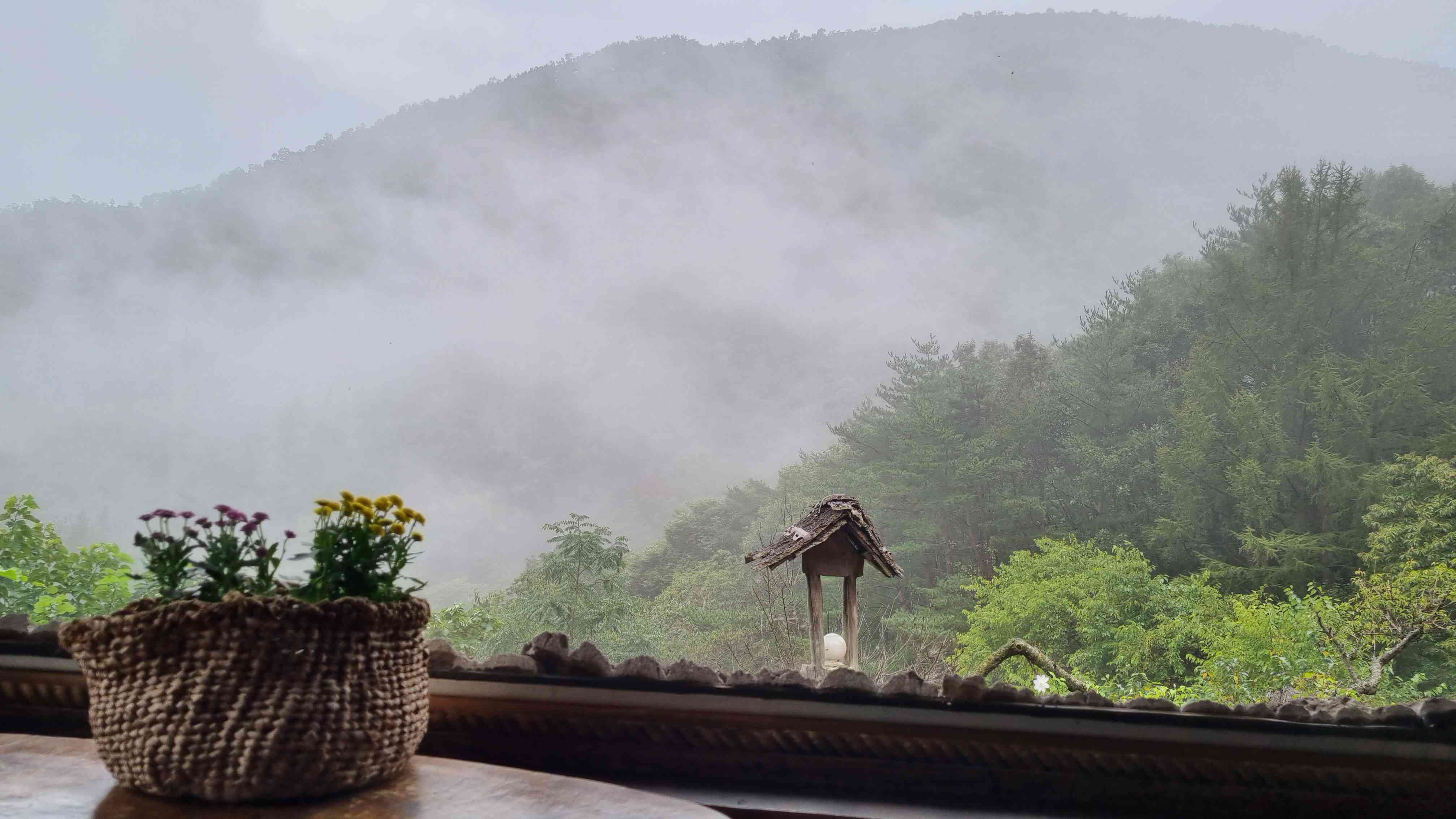 선류산장 대표 이미지