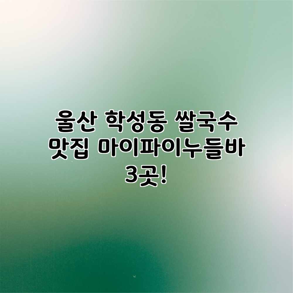 울산 학성동 쌀국수 맛집: 마이파이누들바 3곳! 울산 학성동 쌀국수 맛집: 마이파이누들바 3곳!