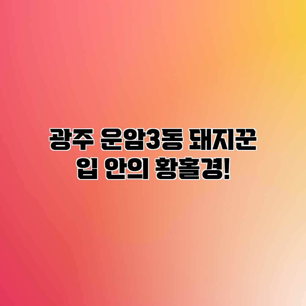 광주 운암3동 돼지꾼: 입 안의 황홀경! 광주 운암3동 돼지꾼: 입 안의 황홀경!