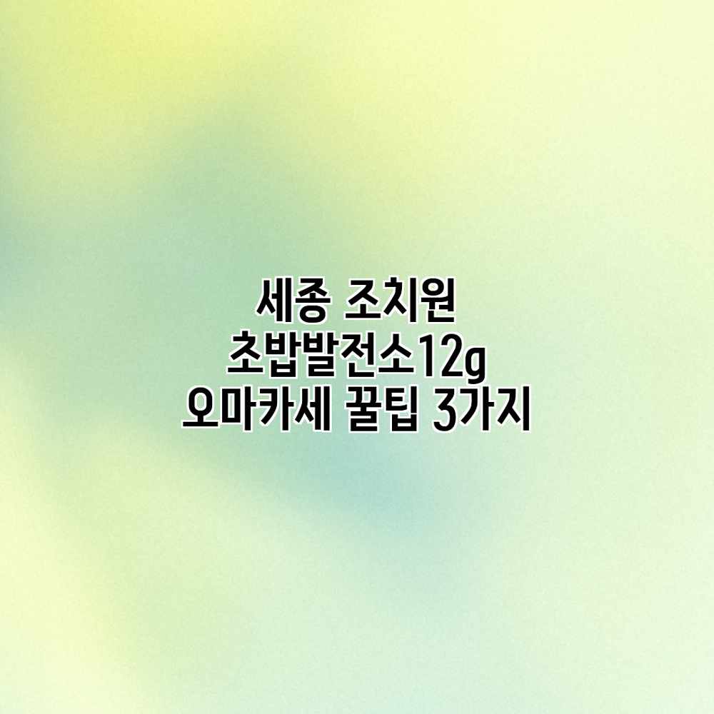 세종 조치원 “초밥발전소12g” 오마카세 꿀팁 3가지 세종 조치원 “초밥발전소12g” 오마카세 꿀팁 3가지