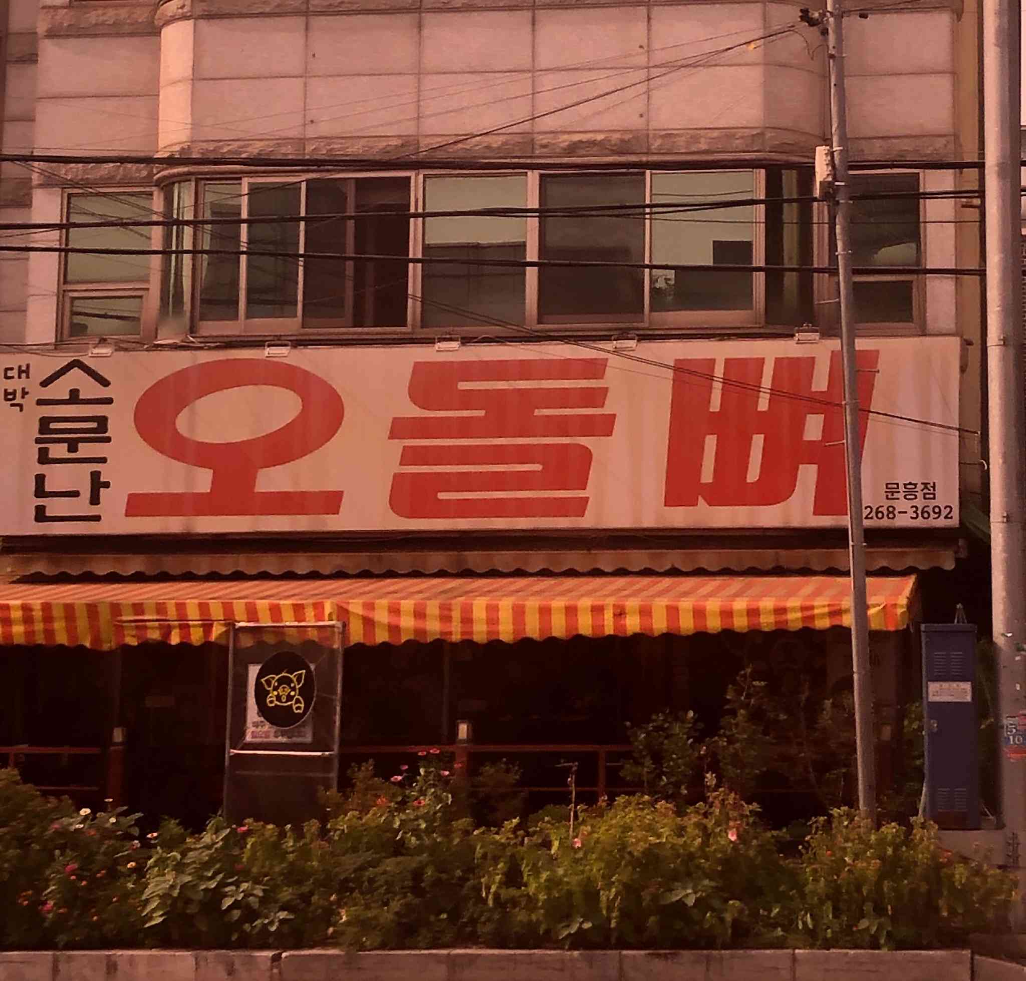 소문난 오돌뼈 문흥점 대표 메뉴