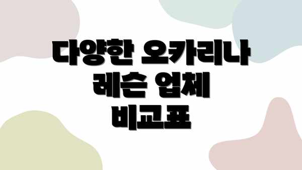 다양한 오카리나 레슨 업체 비교표