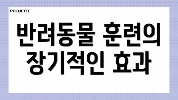 반려동물 훈련의 장기적인 효과
