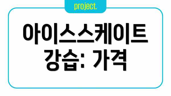 아이스스케이트 강습: 가격