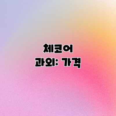 체코어 과외: 가격