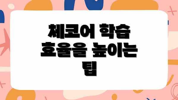 체코어 학습 효율을 높이는 팁