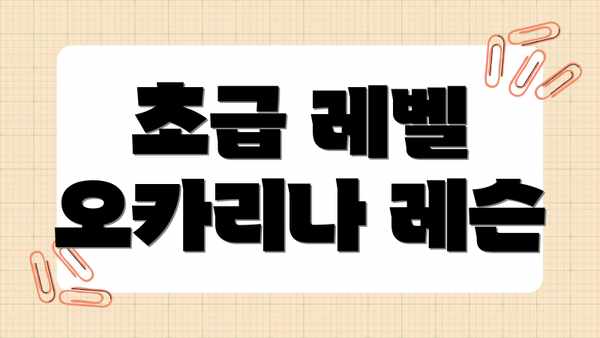 초급 레벨 오카리나 레슨