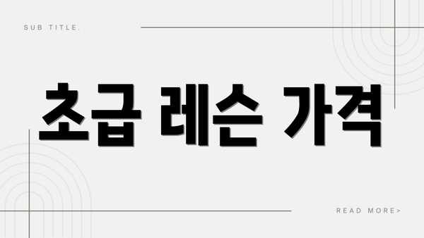 초급 레슨 가격