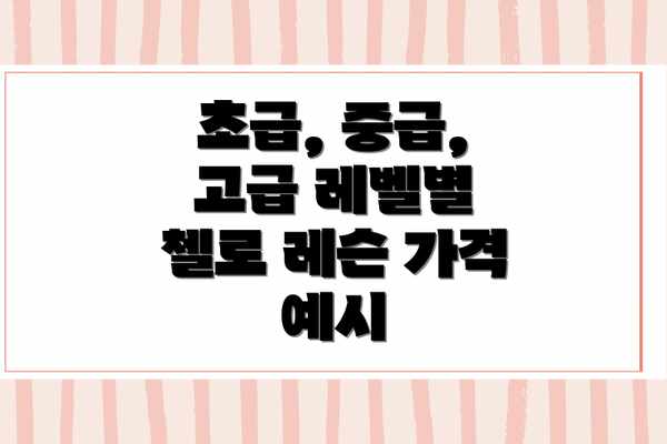 초급, 중급, 고급 레벨별 첼로 레슨 가격 예시