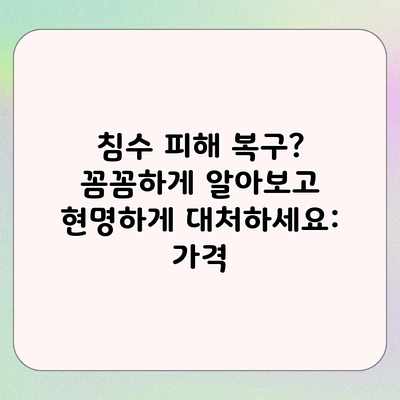 침수 피해 복구? 꼼꼼하게 알아보고 현명하게 대처하세요: 가격 침수 피해 복구? 꼼꼼하게 알아보고 현명하게 대처하세요: 가격