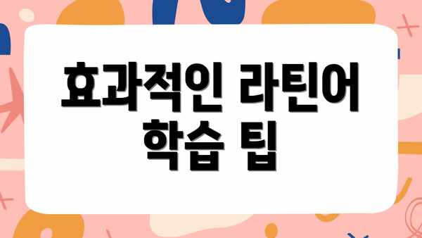 효과적인 라틴어 학습 팁