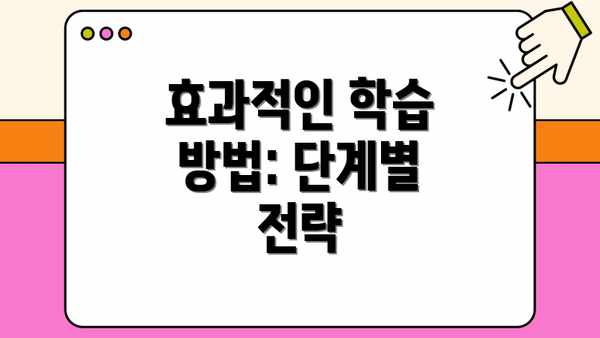 효과적인 학습 방법: 단계별 전략