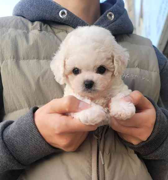 너는내운명 전경