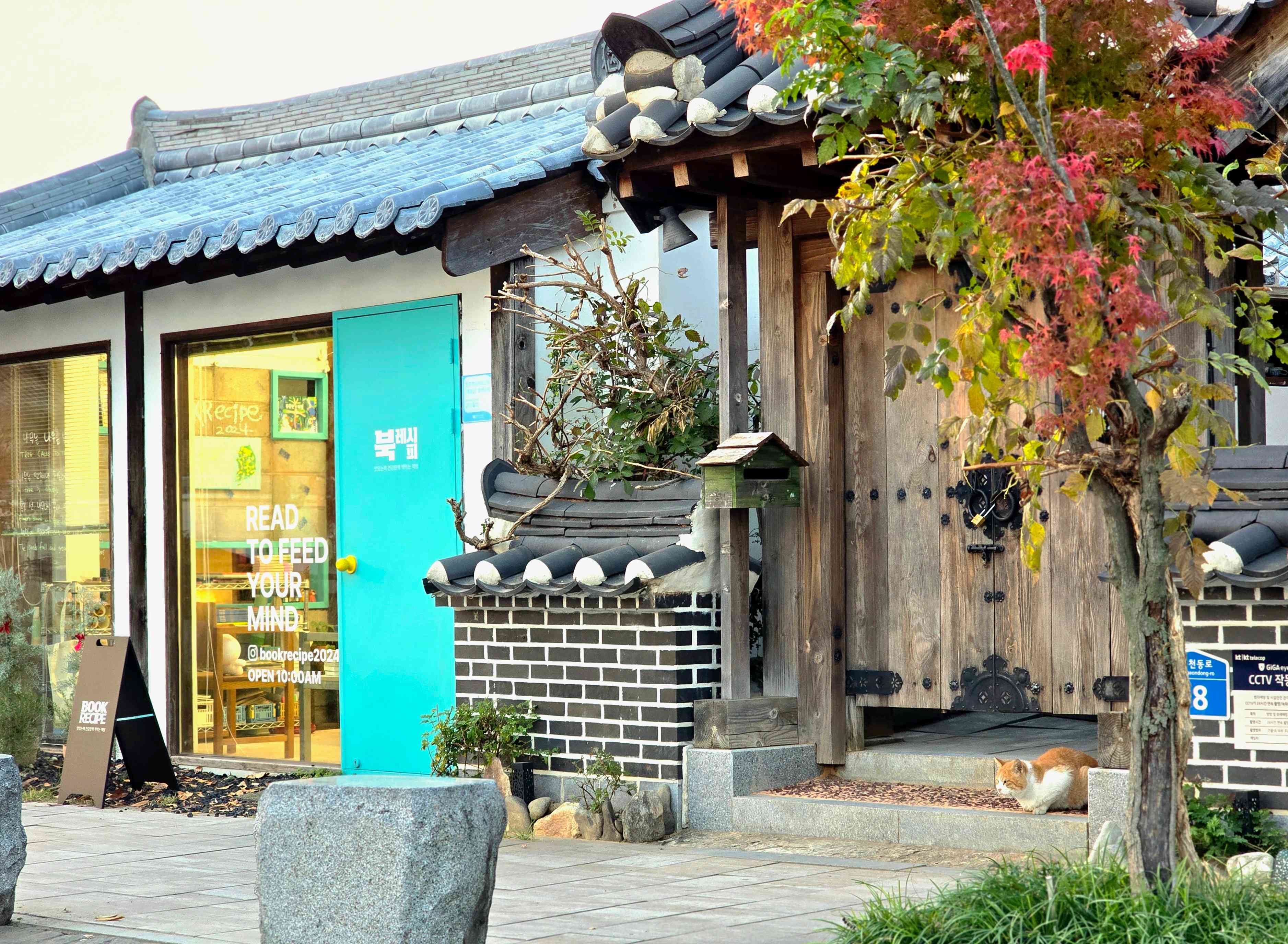 북레시피 전경