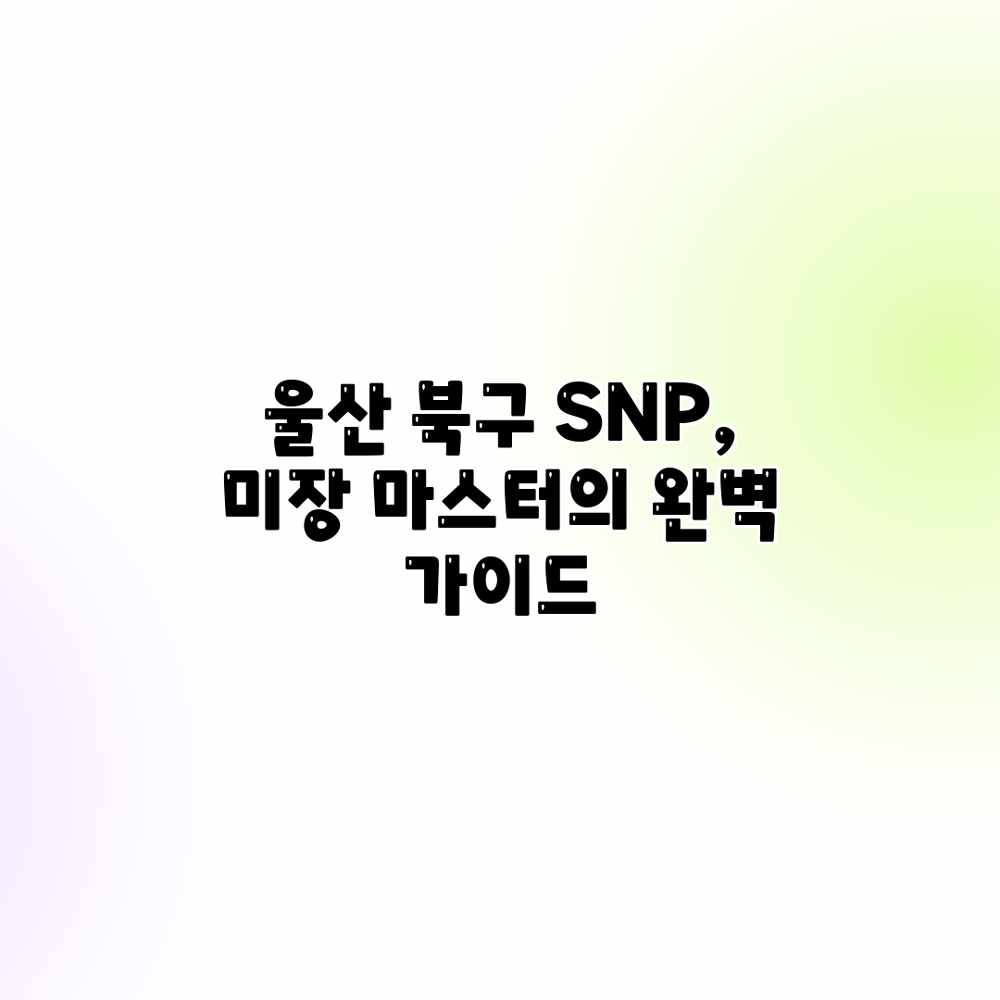 울산 북구 SNP, 미장 마스터의 완벽 가이드