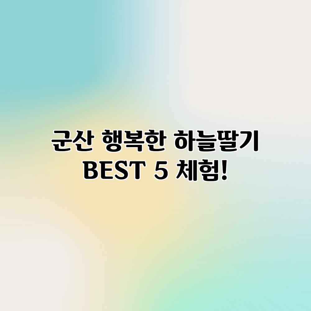 군산 행복한 하늘딸기 BEST 5 체험!