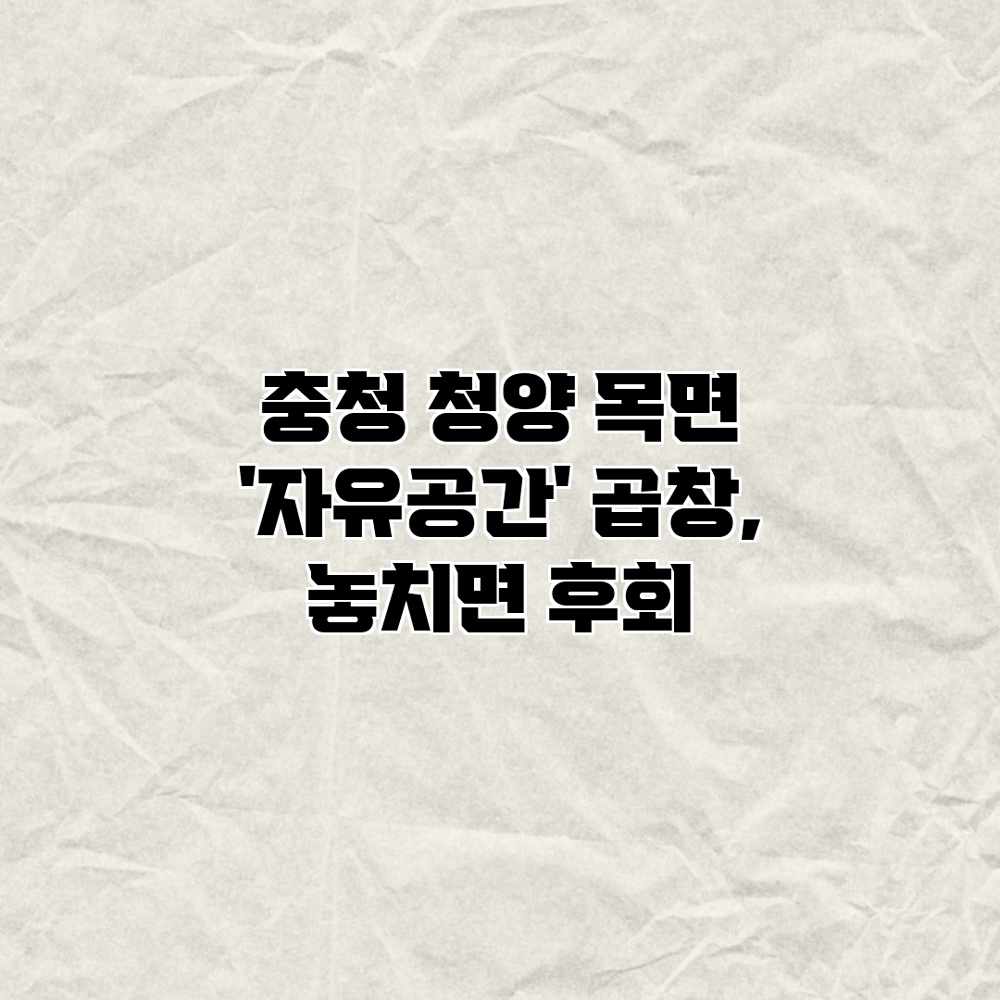 충청 청양 목면 ‘자유공간’ 곱창, 놓치면 후회?