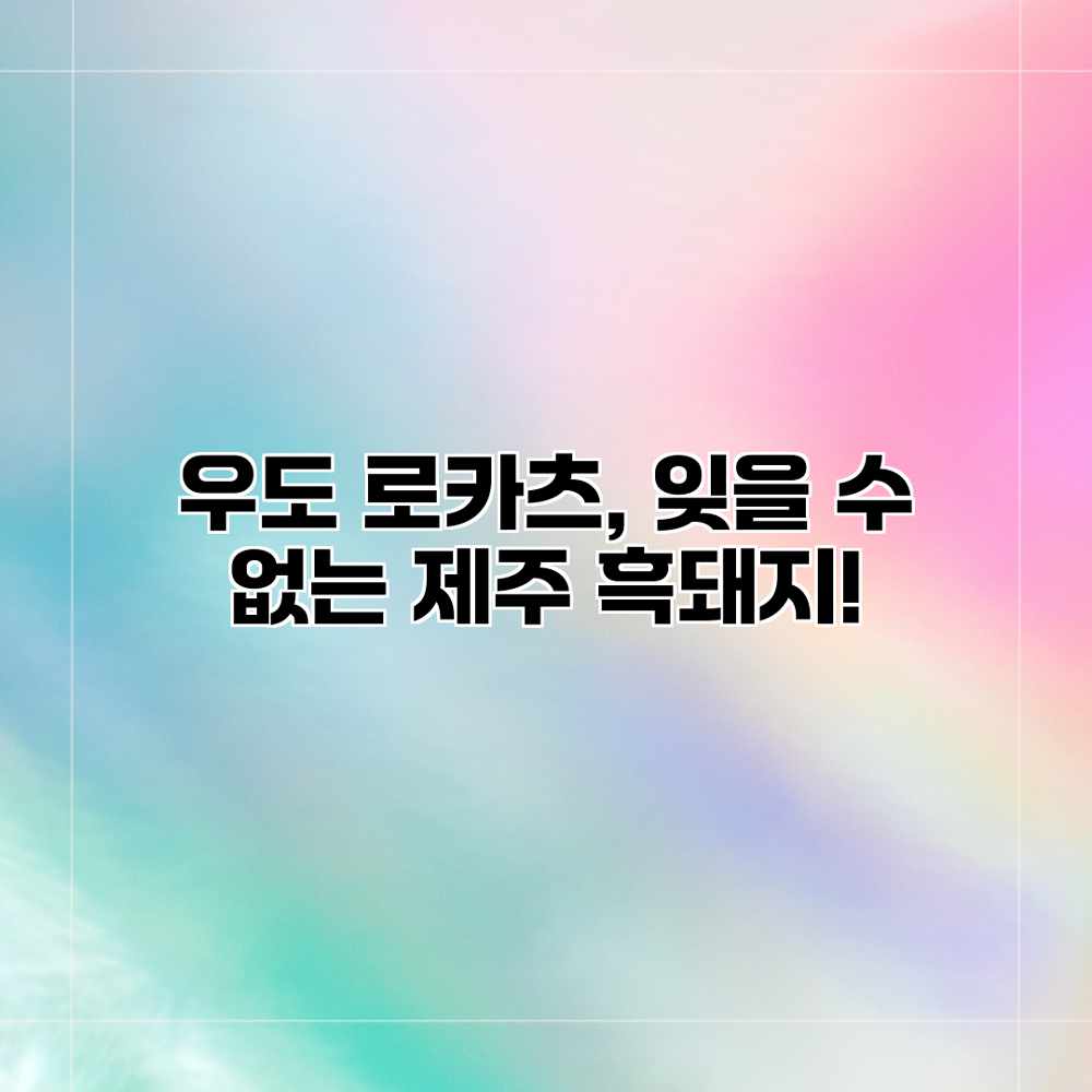 우도 로카츠, 잊을 수 없는 제주 흑돼지!