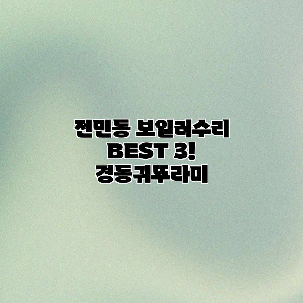 전민동 보일러수리 BEST 3! 경동/귀뚜라미