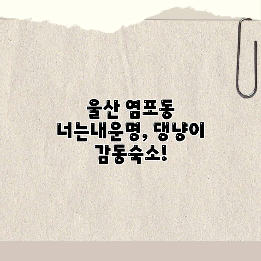 울산 염포동 너는내운명, 댕냥이 감동숙소!