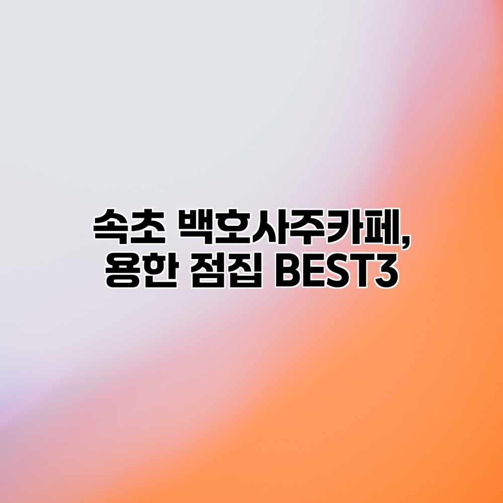 속초 백호사주카페, 용한 점집 BEST3